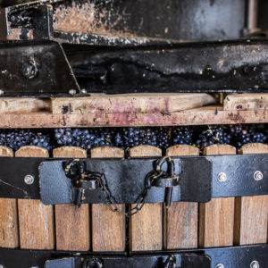 Pressoir champagne Marne