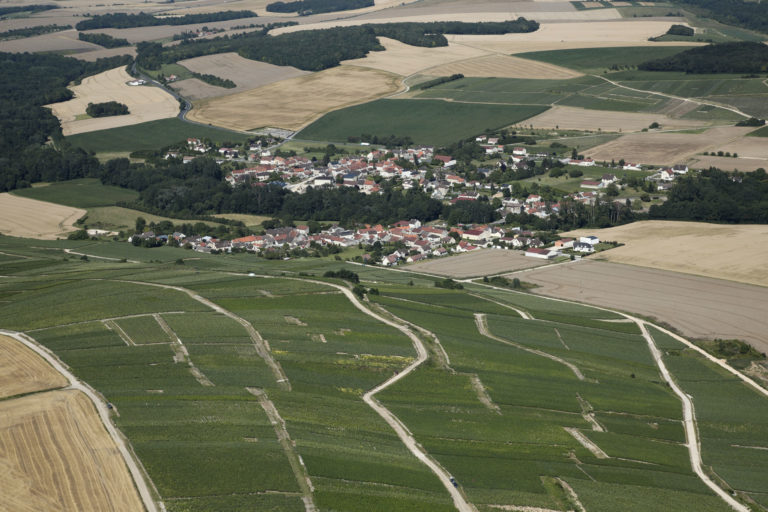 Champagne Gwenael Mahe Champvoisy Marne