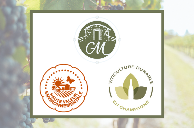Champagne G Mahé Champvoisy Viticulture durable en champagne